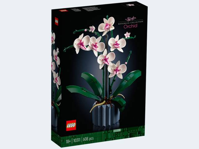 LEGO Botanicals Orchidee