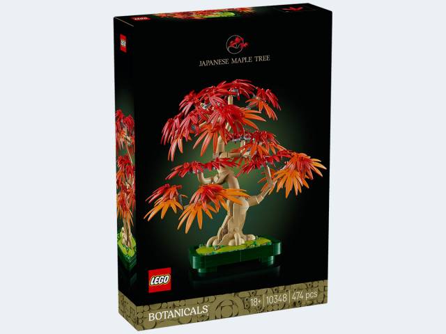 LEGO Botanicals Japanischer Roter Ahorn – Bonsai-B