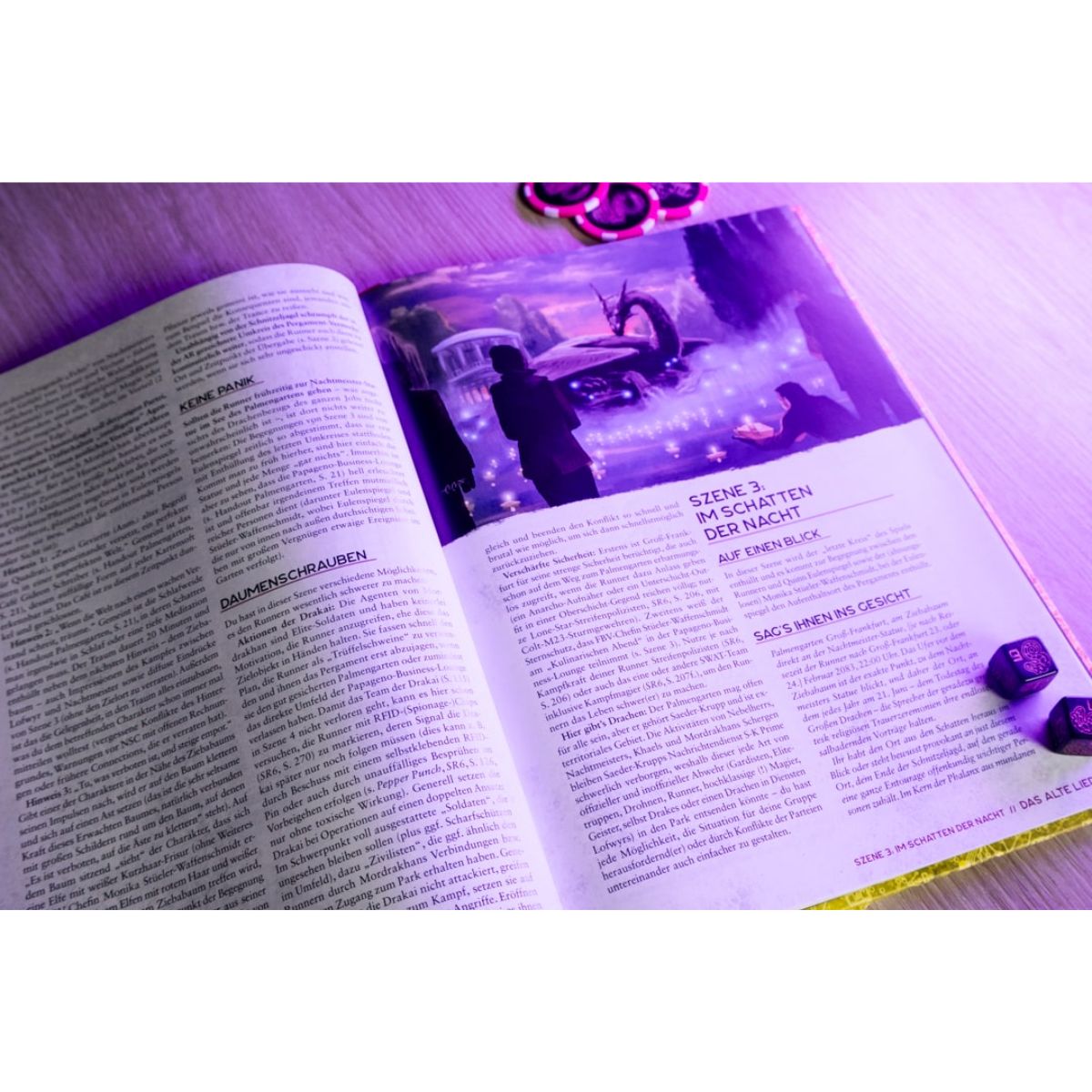 Shadowrun Herr der Nebel Kampagnenbuch