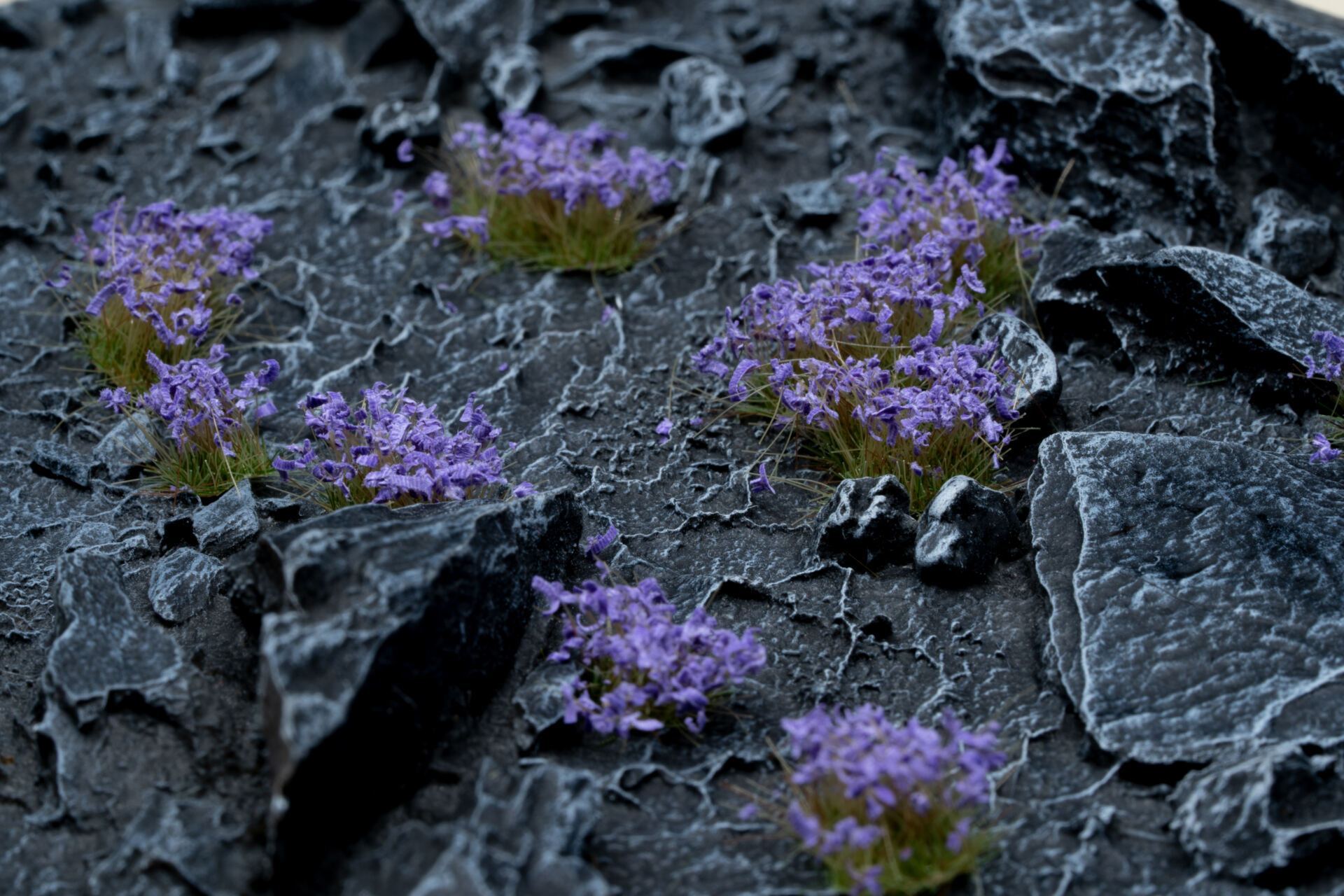 Violet Flowers Tuft 6mm