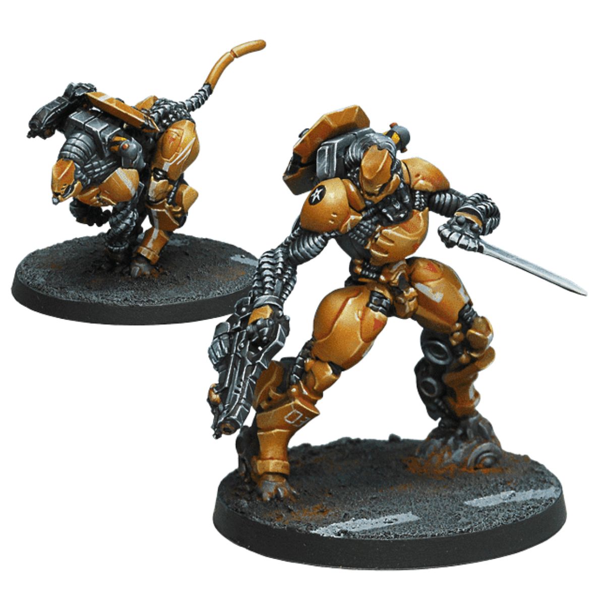 Corvus Belli Infinity Sù-Jiàn Immediate Action Unit – Battle Bear ...
