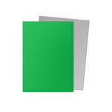 Dragon Shield Standard Size Dual Matte Sleeves - Apple Green & Silver (100 Sleeves)