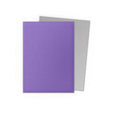 Dragon Shield Standard Size Dual Matte Sleeves - Nebula & Silver (100 Sleeves)