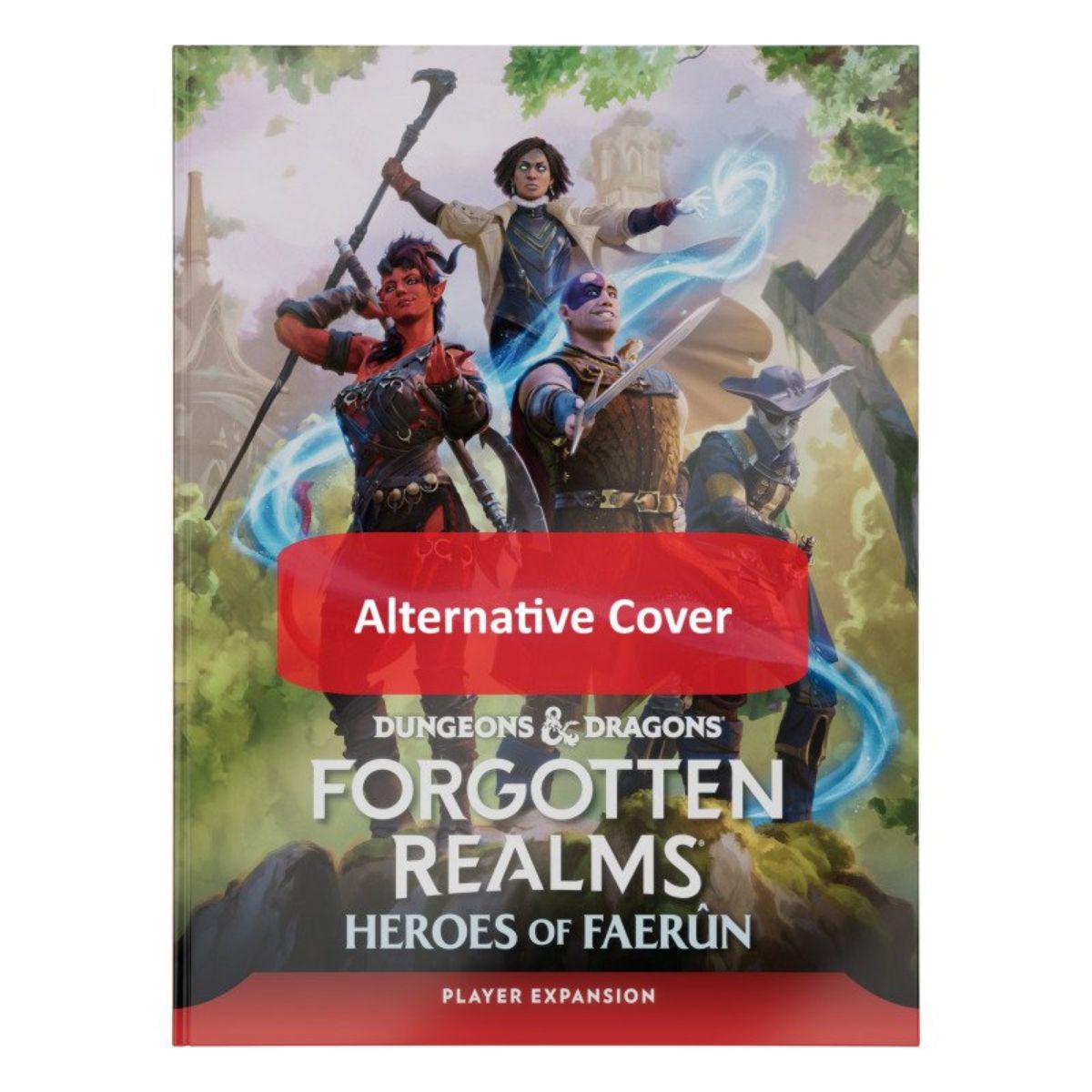 Dungeons & Dragons Forgotten Realms: Heroes of Faerun Player Guide Alternate Cover Englisch