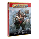 Warhammer Age of Sigmar Ogor Mawtribes Kriegsbuch der Zerstörung Deutsch