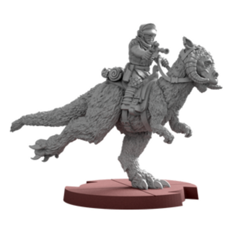 Tauntaun-Reiter